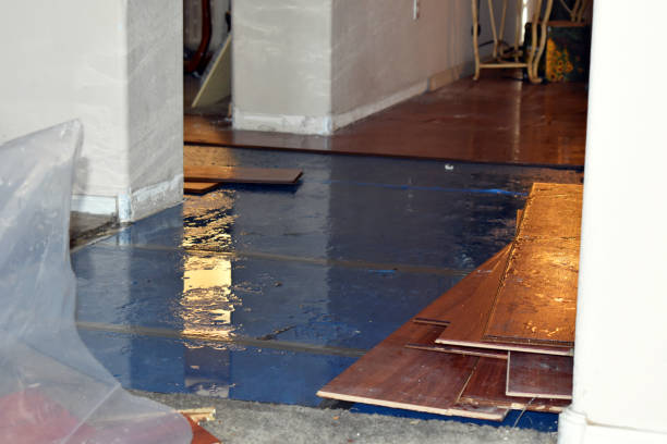Professional Water Damage Restoration technician working in Lutz, FL